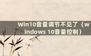 Win10音量调节不见了（windows 10音量控制）